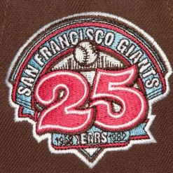 The Damn Snapback Coop San Francisco Giants