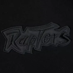 Tonal Logo Heavyweight Fleece Toronto Raptors