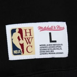 Tonal Logo Heavyweight Fleece Toronto Raptors