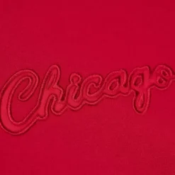 Tonal Logo Heavyweight Fleece Chicago Bulls