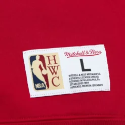 Tonal Logo Heavyweight Fleece Chicago Bulls