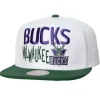 Toss Up Snapback Hwc Milwaukee Bucks