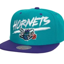 Transcript Snapback Hwc Charlotte Hornets