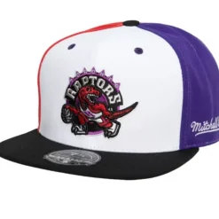 Tri Cycle Fitted Hat Toronto Raptors