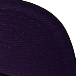 Tri Cycle Fitted Hat Toronto Raptors