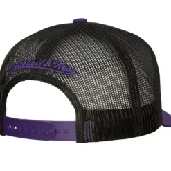 Truck It Trucker Snapback Los Angeles Lakers