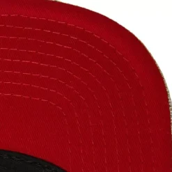 True Tap Snapback Hwc Miami Heat
