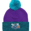 Two Tone Pom Beanie Hwc Charlotte Hornets