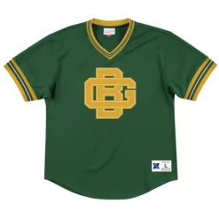 Unbeaten Mesh V-Neck Green Bay Packers