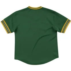 Unbeaten Mesh V-Neck Green Bay Packers