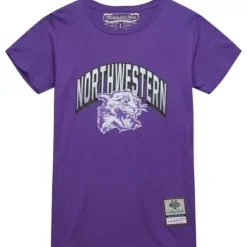 University Arch Logo Ls Tee Northwestern University