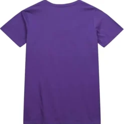 University Arch Logo Ls Tee Northwestern University