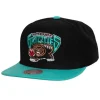 Vancouver Snapback Vancouver Grizzlies