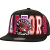 Varsity Bust Snapback Hwc Toronto Raptors