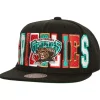 Varsity Bust Snapback Hwc Vancouver Grizzlies