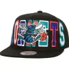 Varsity Bust Snapback Hwc Charlotte Hornets