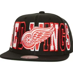 Varsity Bust Snapback Vntg Detroit Red Wings