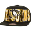 Varsity Bust Snapback Vntg Pittsburgh Penguins