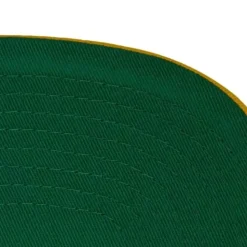 Varsity Letter Snapback University Of Michigan