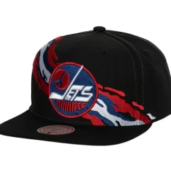 Vintage Paintbrush Snapback Winnipeg Jets