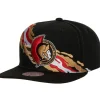 Vintage Paintbrush Snapback Ottawa Senators