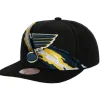 Vintage Paintbrush Snapback St. Louis Blues