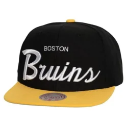 Vintage Script Snapback Boston Bruins