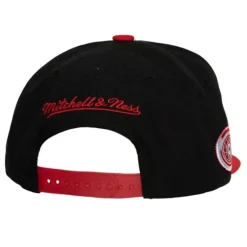 Vintage Script Snapback Detroit Red Wings