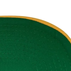 Vintage Script Snapback Minnesota North Stars