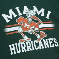 Vintage Stripes Tee University Of Miami