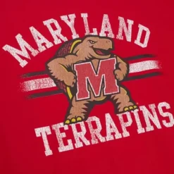 Vintage Stripes Tee University Of Maryland