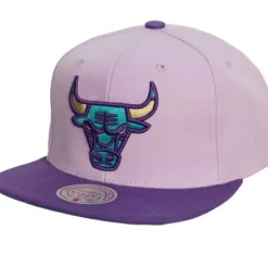 Violet Views Snapback Chicago Bulls