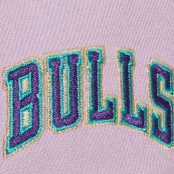 Violet Views Snapback Chicago Bulls