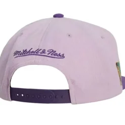 Violet Views Snapback Hwc Charlotte Hornets