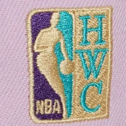 Violet Views Snapback Hwc Charlotte Hornets
