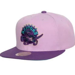 Violet Views Snapback Hwc Toronto Raptors
