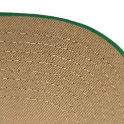 Watch Me Shine Snapback Boston Celtics