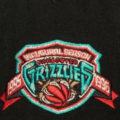 Watch Me Shine Snapback Hwc Vancouver Grizzlies