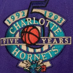 With Love Snapback Hwc Charlotte Hornets
