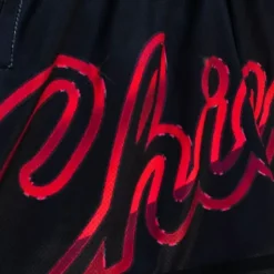 Womens Big Face 4.0 Shorts Chicago Bulls