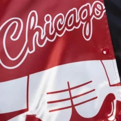 Womens Big Face Satin Jacket 5.0 Chicago Bulls