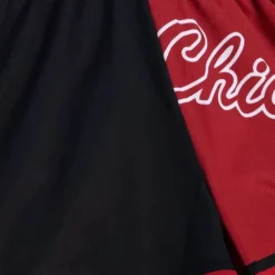 Womens Big Face Shorts 5.0 Chicago Bulls