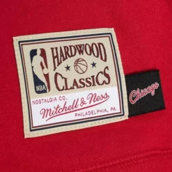 Womens Funnel Neck Fleece 3.0 Chicago Bulls