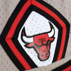 Womens Mushroom Shorts Chicago Bulls