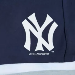 Womens Skort New York Yankees