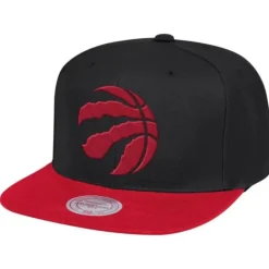Wool 2 Tone Snapback Toronto Raptors