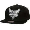 Xl Bwg Snapback Charlotte Hornets